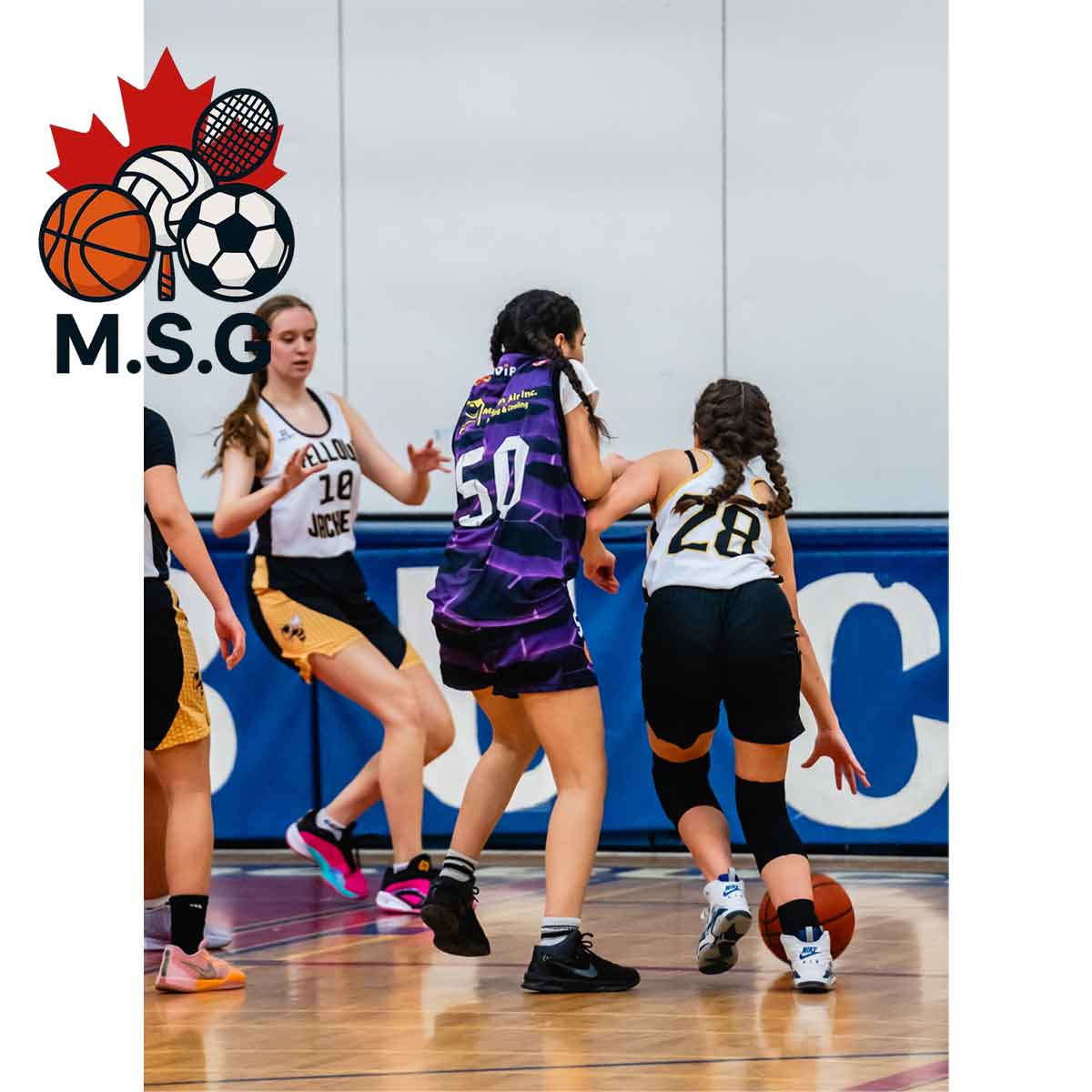 basket6 basket6